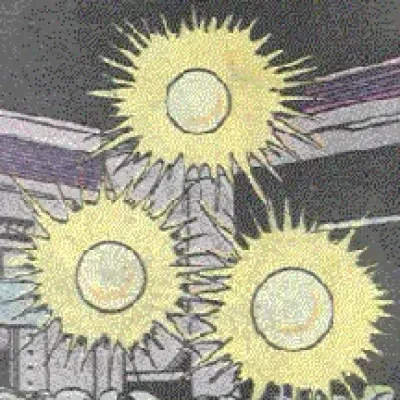 Trikon
