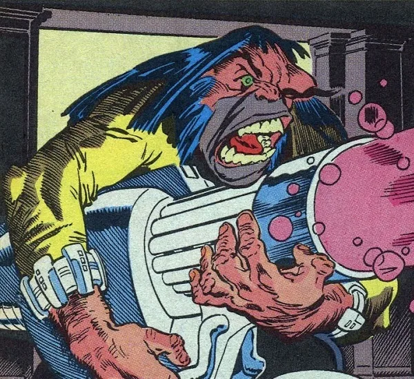 Troglodyte