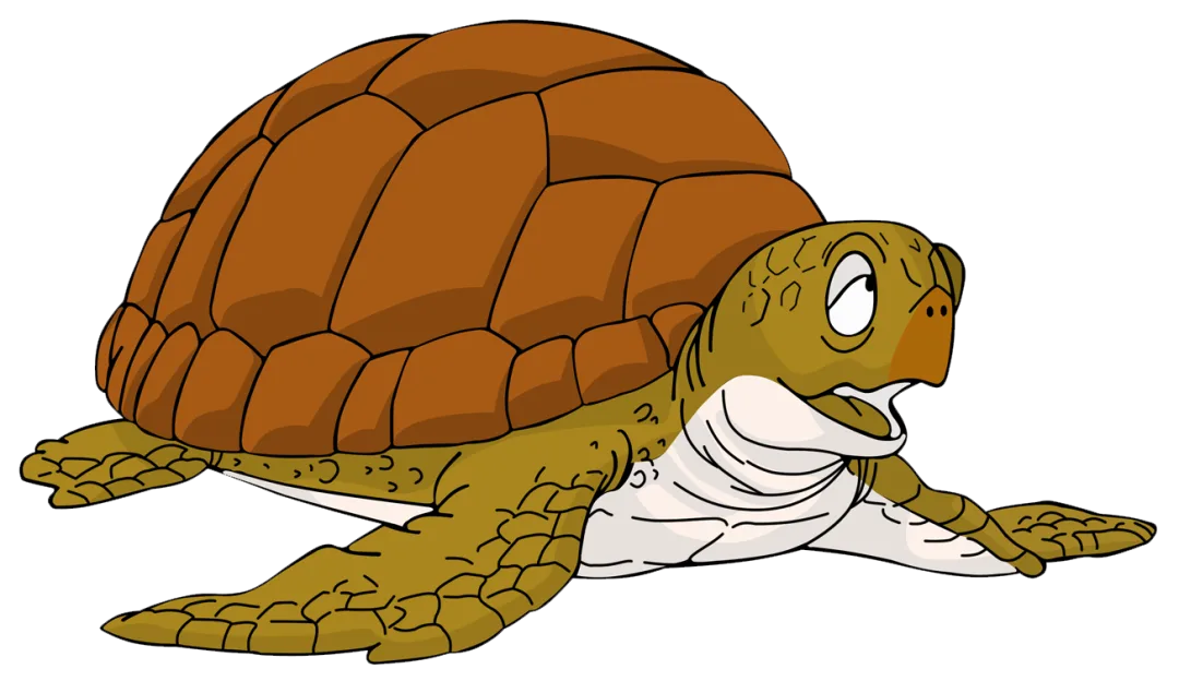 Turtle