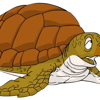Turtle