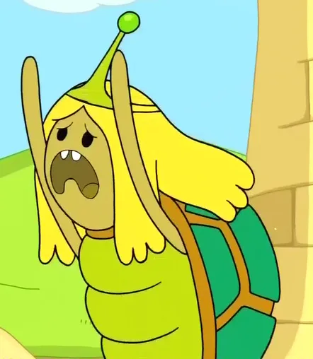 Turtle Princess