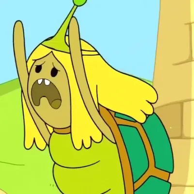Turtle Princess