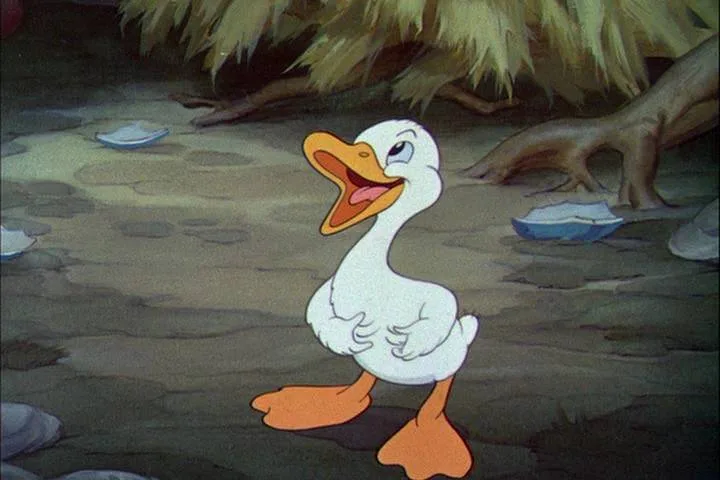Ugly Duckling