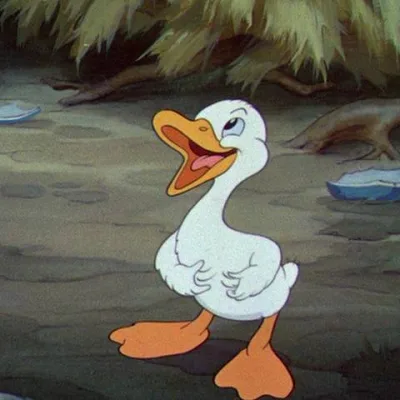 Ugly Duckling