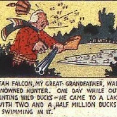 Utah Falcon