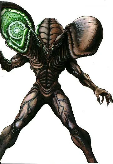 Vamore type Zoanoid