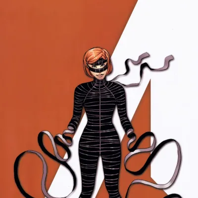 Veil
