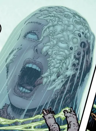 Veiled Lady