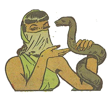 Vida