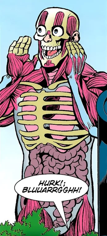 Visible Man
