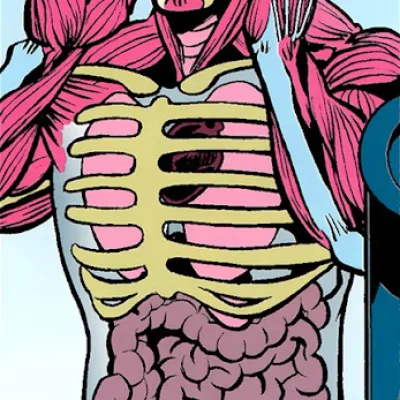 Visible Man