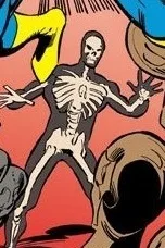 Visible Man