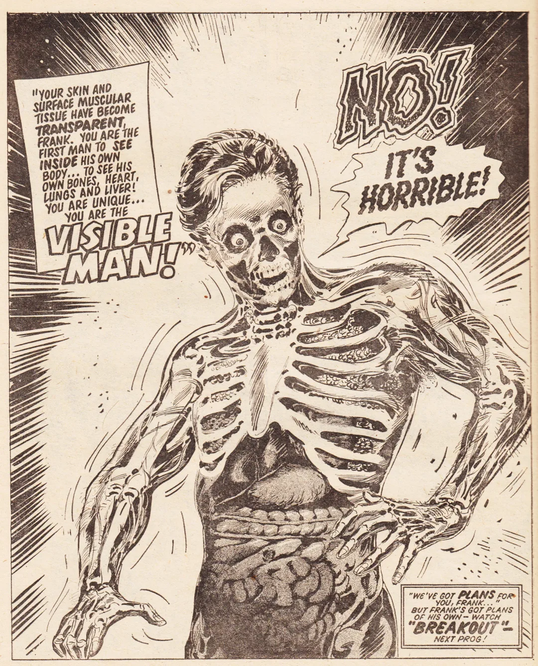 Visible Man