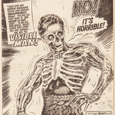 Visible Man
