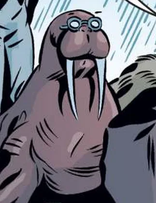Walrus