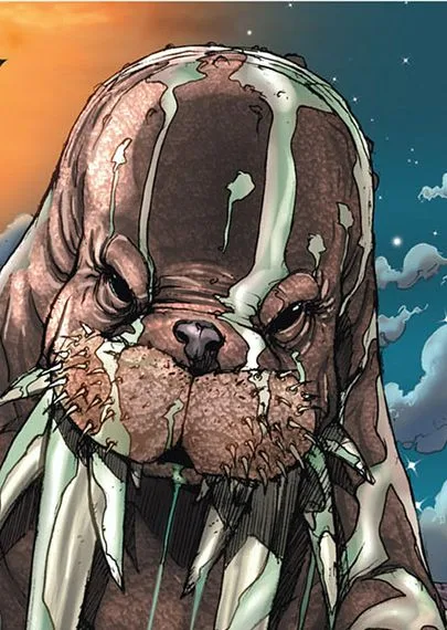 Walrus