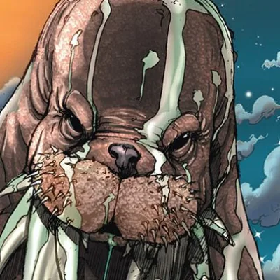 Walrus