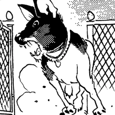 Walt Flanagan's Dog