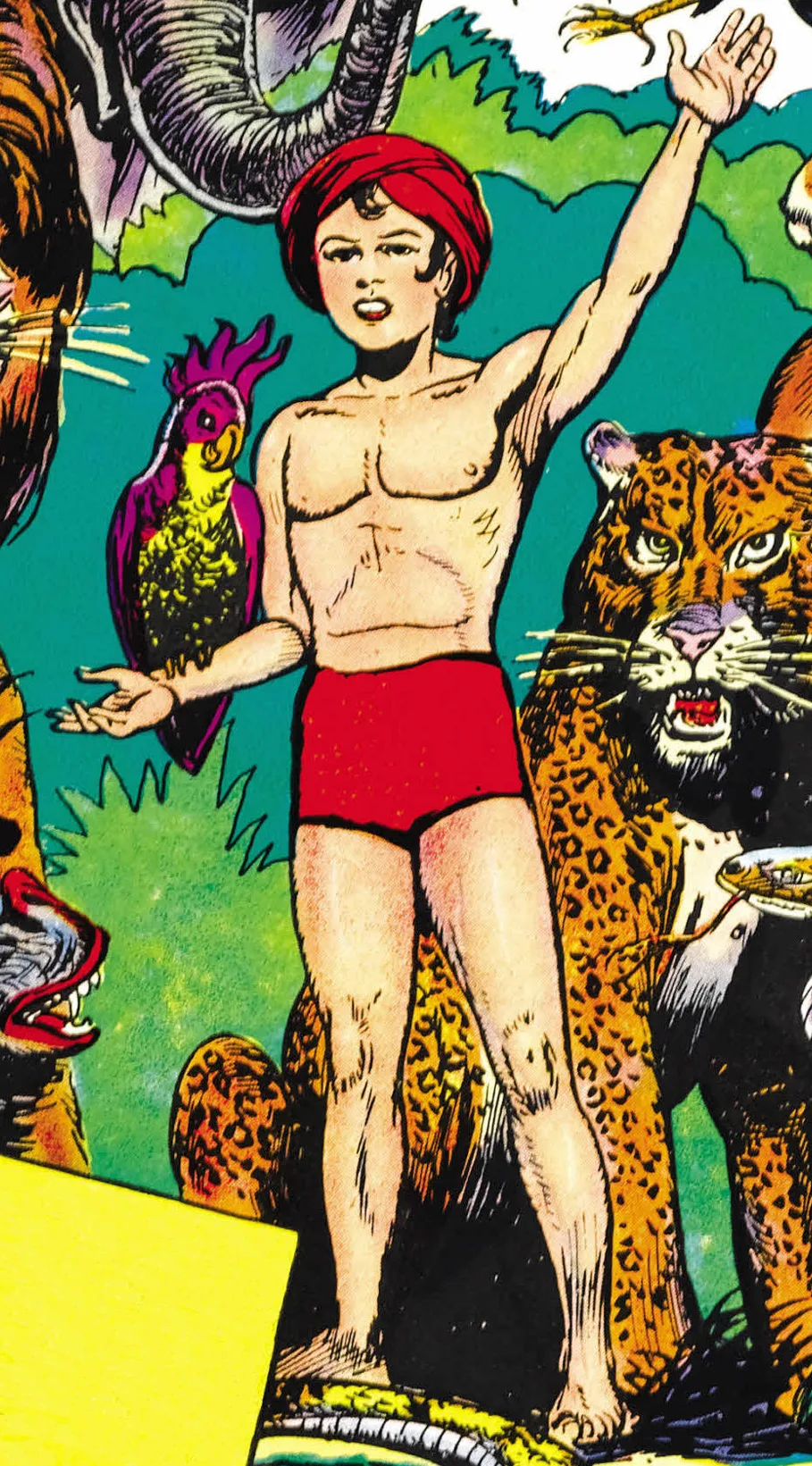 Wambi the Jungle Boy