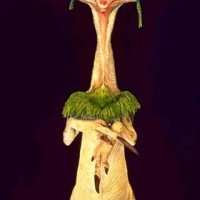 Wan Sandage