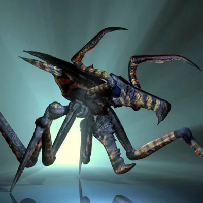 Warrior Bug