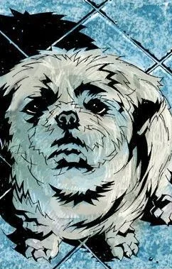 Watchdog