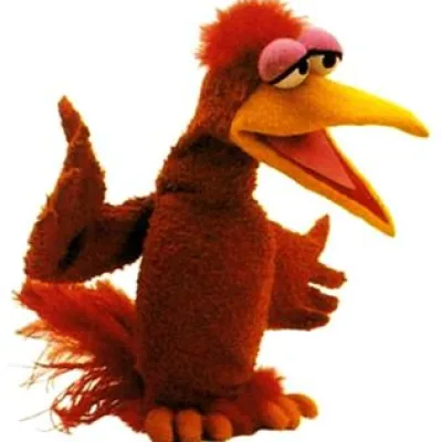 Whaddayasay Bird