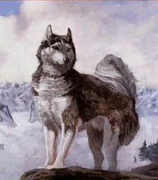 White Fang