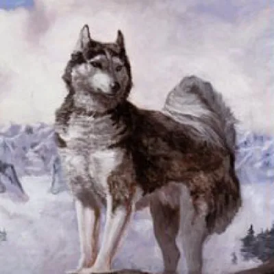 White Fang