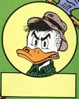 Whitewater Duck
