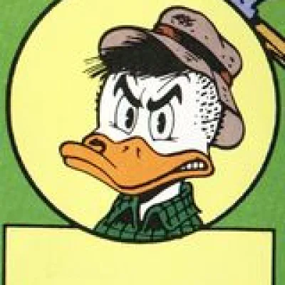 Whitewater Duck