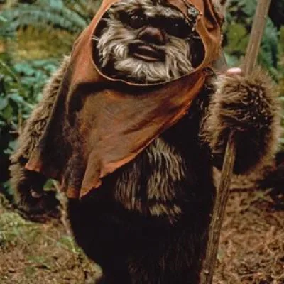 Wicket