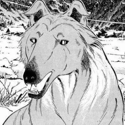 Wilson