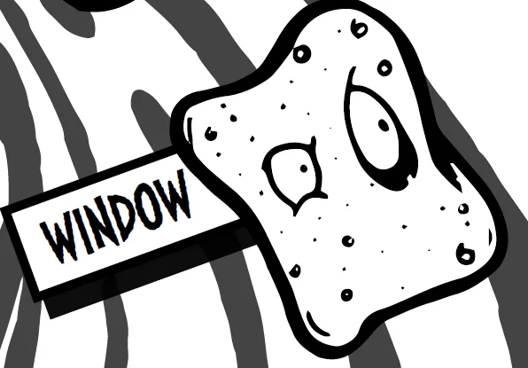 Window