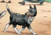 Wolf the Dog