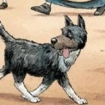 Wolf the Dog