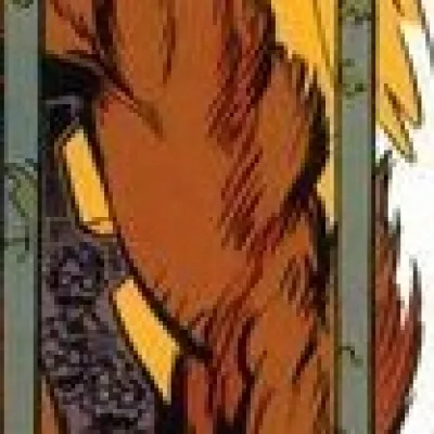 Wolverine Man