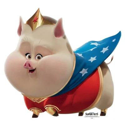 Wonder Pig