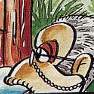 Wrinkly Kong