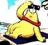 Yellow Dog