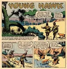Young Hawk