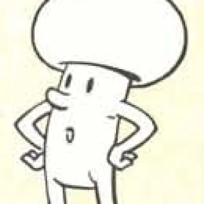 Zwam