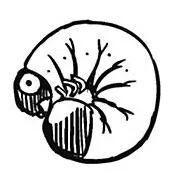 Akinori