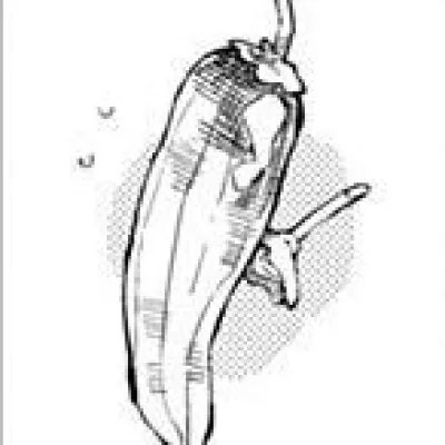 Hinobori Yawa
