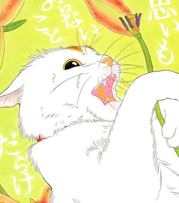 Ikefuji Yumi