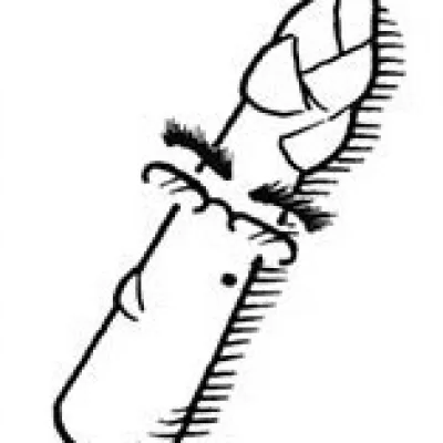 Inoue Kyohei