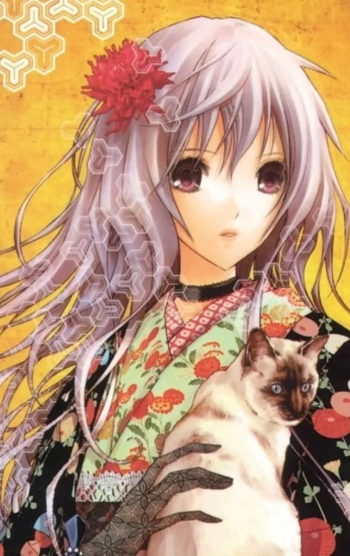 Kanzaki Shummi