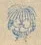 Kobayashi Masami