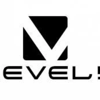 Level 5