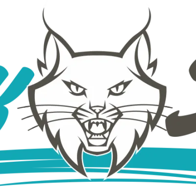 Lynx Studios
